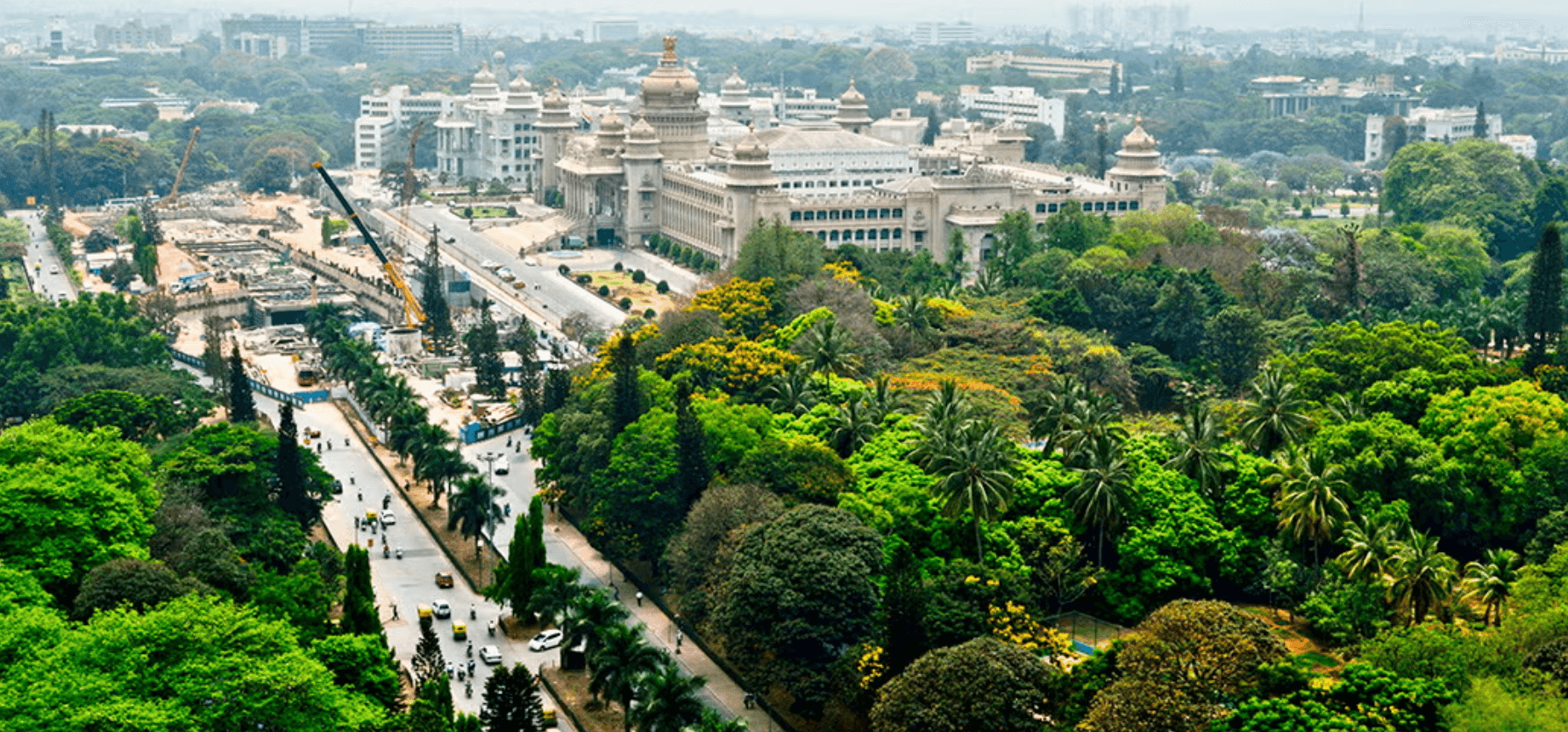 Bangalore Lost One-Third of Its Green Cover in Just 8 Years